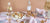 Serveware
