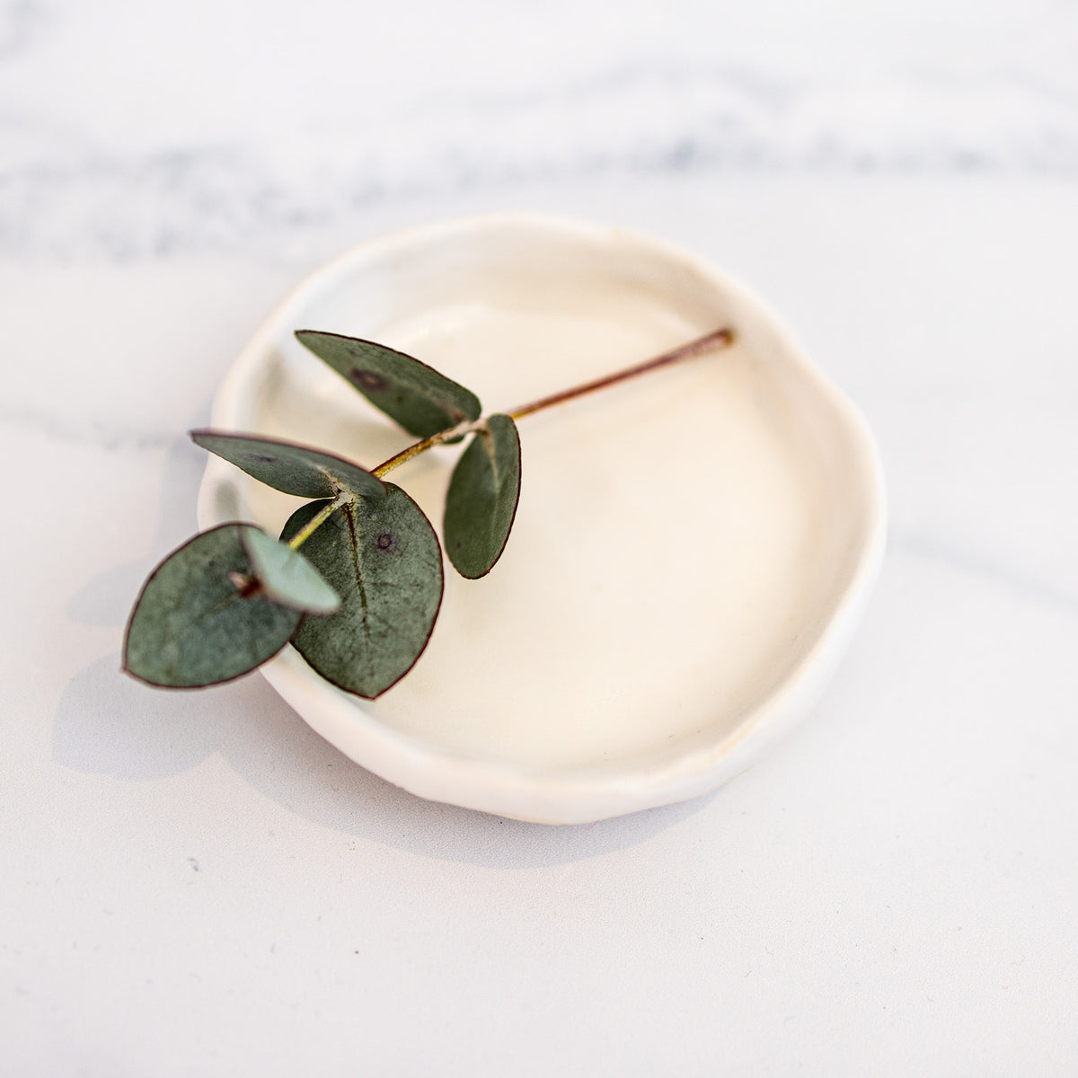 CERAMIC PETITE DISH [WHITE or DUCK EGG BLUE]